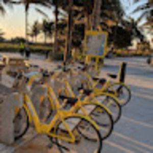 Meet your Posher, Bob